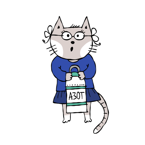 Cat 4