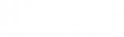 Логотип НГУ